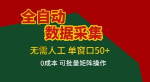 全自动数据采集项目，无需人工，单窗口可达50+收益，操作简单无难度，一个人也能轻松实现矩阵【揭秘】-16888副业资讯