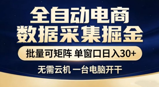 独家电商数据全自动采集项目，批量可矩阵，单窗口轻松日入3张+【揭秘】-16888副业资讯