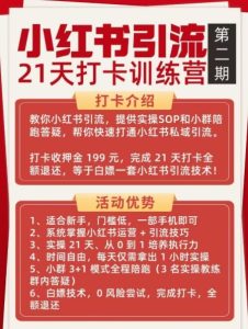 小红书引流21天打卡训练营第二期，助你快速打通小红书私域引流打粉-16888副业资讯