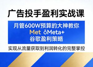 广告投手盈利实战课，月管600W预算的大神教你Meta+谷歌盈利策略，实现从流量获取到利润转化的完整掌控-16888副业资讯