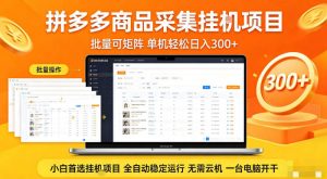 拼多多商品信息全自动采集项目，批量可矩阵，单机轻松日入300+，无需云机一台电脑开干【揭秘】-16888副业资讯