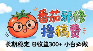 番茄撸金术：日入300+稳如泰山！独家玩法曝光，操作门槛极低，无需经验，小白闭眼上车【揭秘】-16888副业资讯