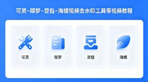 可灵–即梦–豆包–海螺视频去水印工具带视频教程-16888副业资讯