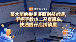 某大佬的拼多多原创技术课，手把手教小二开直通车，快速提升店铺销量-16888副业资讯