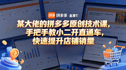 某大佬的拼多多原创技术课，手把手教小二开直通车，快速提升店铺销量-16888副业资讯