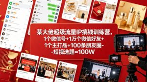 某大佬超级流量IP搞钱训练营，1个微信号+1万个微信好友+1个主打品+100条朋友圈-短视选题=100W-16888副业资讯