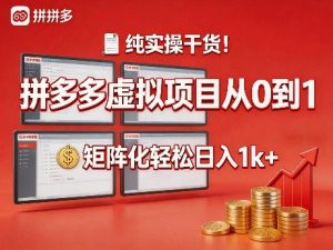 纯实操干货！拼多多虚拟项目从0到1，矩阵化轻松日入1k+【揭秘】-16888副业资讯