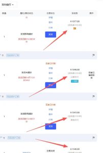 【超强副业】淘宝超高价女装项目：1单賺1k+，可工作室放大（共52节）-16888副业资讯