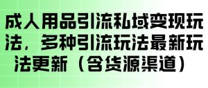 成人用品引流私域变现玩法，多种引流玩法最新玩法，操作简单（含货源渠道）-16888副业资讯
