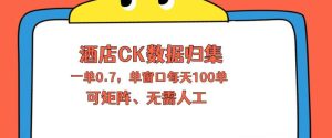 上班也能玩的酒店CK数据归集，一单0.7单窗口每天可做100单，一个人就能矩阵操作【揭秘】-16888副业资讯