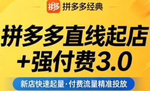 拼多多直线起店+强付费3.0,教你稳定起店、高效控投产、破解流量瓶颈(更新4月)-16888副业资讯