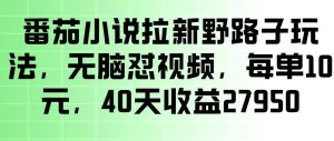 番茄小说拉新野路子玩法，无脑怼视频，玩法简单、见效快，每单10米，40天收益27950-16888副业资讯