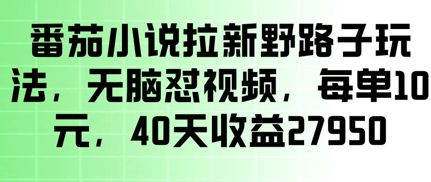 番茄小说拉新野路子玩法，无脑怼视频，玩法简单、见效快，每单10米，40天收益27950-16888副业资讯