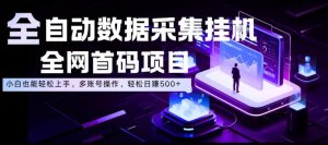 全自动数据采集挂G，全网首码项目，简单易操作，小白也能轻松上手，多账号操作，轻松日入500+【揭秘】-16888副业资讯