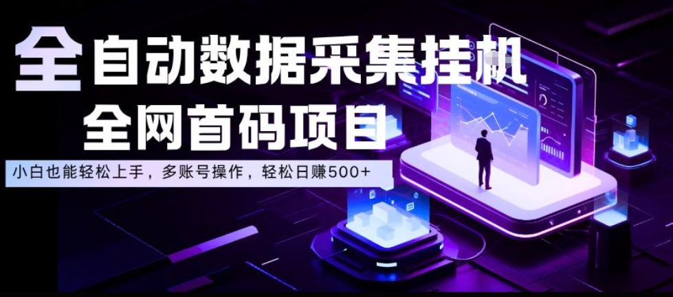 全自动数据采集挂G，全网首码项目，简单易操作，小白也能轻松上手，多账号操作，轻松日入500+【揭秘】-16888副业资讯
