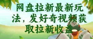 网盘拉新最新玩法，发好奇视频获取拉新收益，抖音收藏家玩法-16888副业资讯