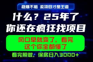 26年，请不要疯狂的找项目做了！卖项目才是真的稳賺不赔，看完照做，保底日入1k+【揭秘】-16888副业资讯