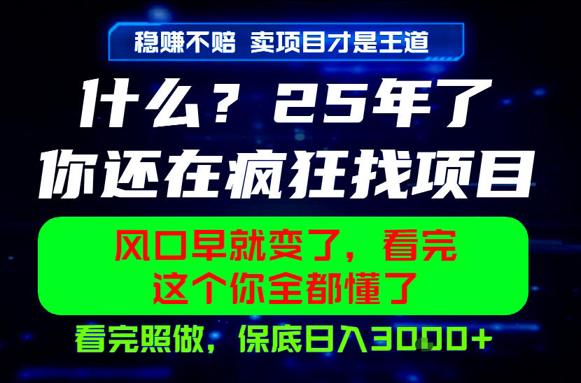 26年，请不要疯狂的找项目做了！卖项目才是真的稳賺不赔，看完照做，保底日入1k+【揭秘】-16888副业资讯