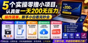 5个实操零撸小项目，认真做一天200无压力，操作简单，新手小白看完秒会【揭秘】-16888副业资讯