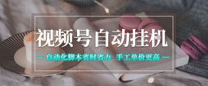 视频号自动挂G项目，自动化脚本省时省力，手工单价更高，日入300+全网最稳【揭秘】-16888副业资讯