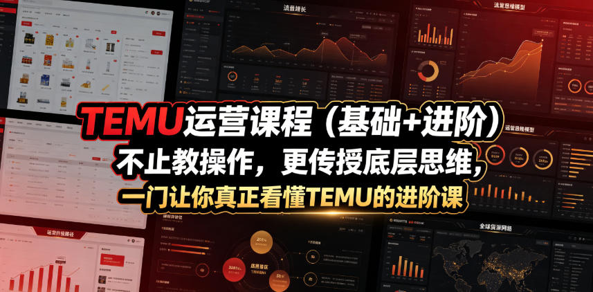 TEMU运营课程（基础+进阶），不止教操作，更传授底层思维，一门让你真正看懂TEMU的进阶课-16888副业资讯