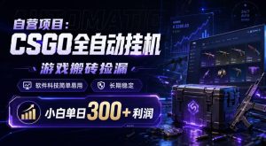 自营项目：CSGO全自动挂G，游戏搬砖捡漏，软件科技简单易用，长期稳定，小白单日300+利润【揭秘】-16888副业资讯