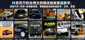 抖音百万粉丝博主的精选独家赛道教学，涵盖汽车+体育+影视解说等，零基础也能快速起号、涨粉、变现-16888副业资讯