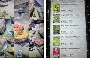 Tiktok中视频解说教程，体育+温情文案双赛道实操教程一站式带你落地，教你出海賺美刀-16888副业资讯