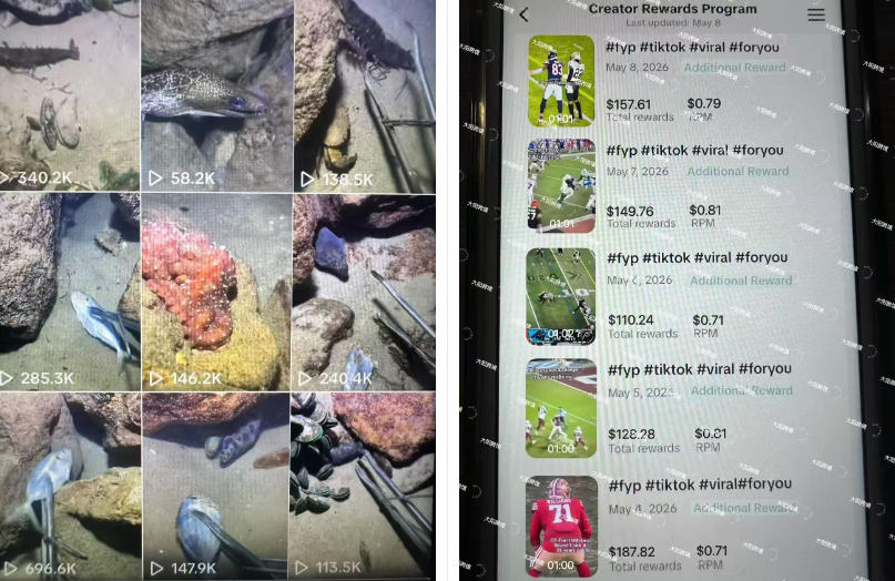 Tiktok中视频解说教程，体育+温情文案双赛道实操教程一站式带你落地，教你出海賺美刀-16888副业资讯