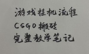 游戏挂G全流程笔记分享，CSGO游戏搬砖，小白看了当天学会见收益【揭秘】-16888副业资讯