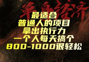 最适合普通人的项目，拿出执行力一个人每天搞个800-1k很轻松【揭秘】-16888副业资讯