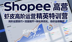 Shopee虾皮高阶运营精英特训营，高阶运营技巧+流量提升+转化率优化，助你业绩翻倍（更新26年7月）-16888副业资讯
