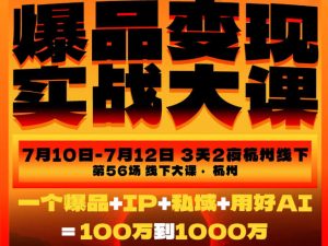 爆品变现实战大课,从爆品,到流量,到成交,一个爆品+IP+私域+用好AI=100W到1000W(7月10-12日)-16888副业资讯