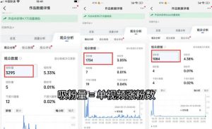 苗子起号涨粉实战变现训练营，多类目零基础爆款起号、精准起号节奏、新手稳涨粉可落地变现全课（更新0719）-16888副业资讯
