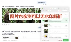 太香了！这款千问视频/图片去水印神器，一键搞定烦人水印，本地完全免费，浏览器拓展插件-16888副业资讯